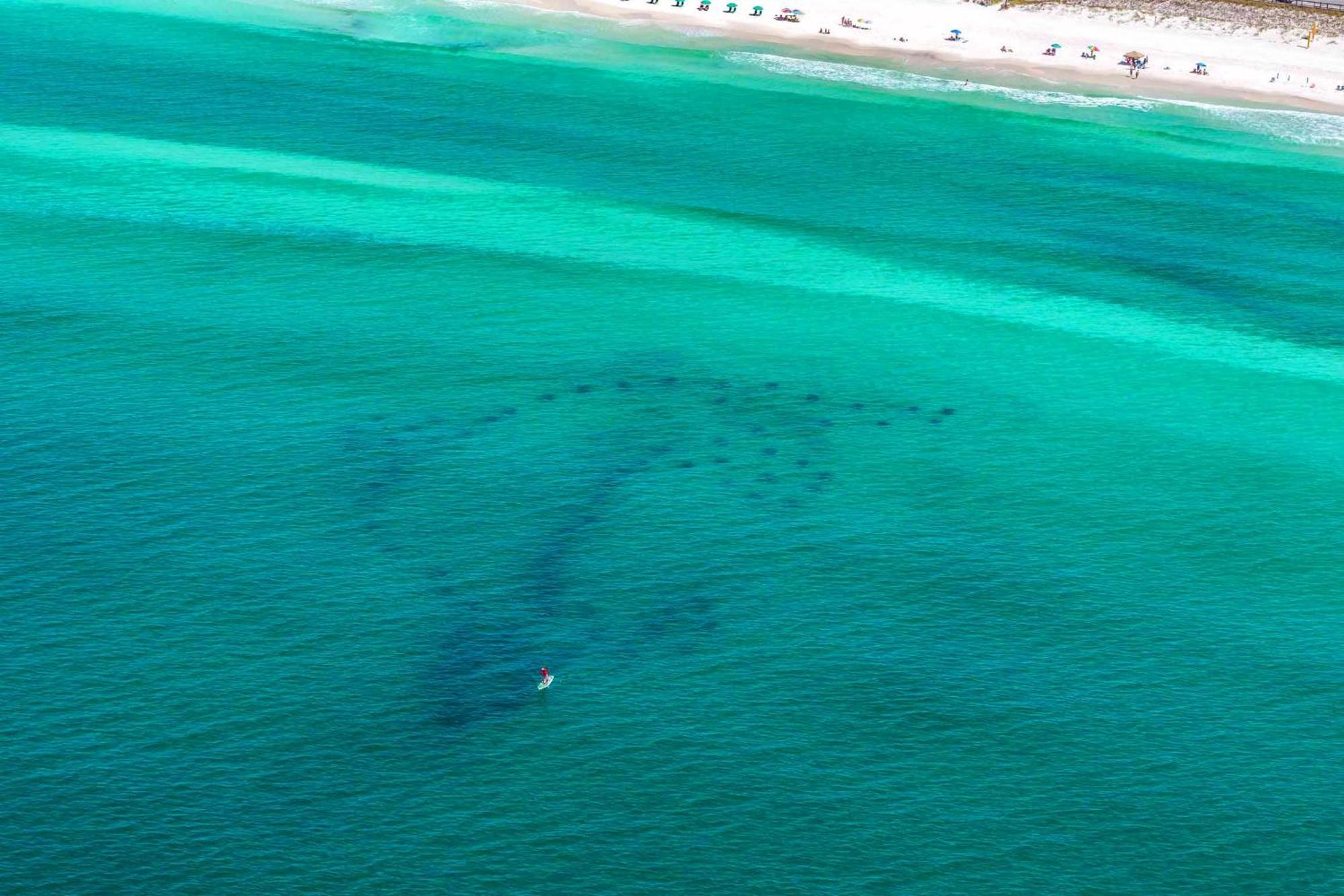 Ariel Dunes I 2207 Destin Buitenkant foto